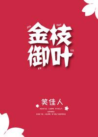 金枝御叶晋江文学城