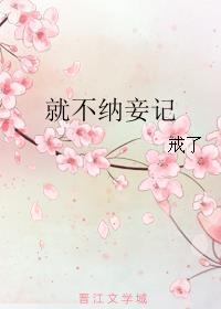 就不纳妾记完整版