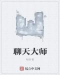 聊天大师中文版