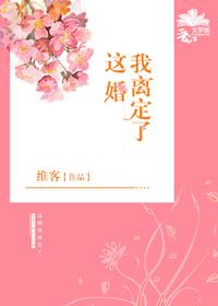 这婚我离定了TXT