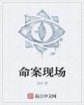 命案现场照片书PDF