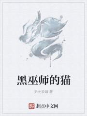 黑巫师刺猬猫