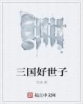 三国无边世子后续