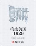 重生美国1929风流大亨