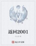 返回2001年