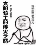 太阳骑士攻略