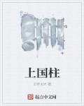 上国柱将军