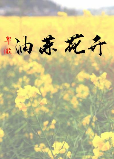 油菜花 绽放