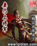 妻乃上将军 女主是