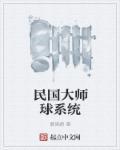 民国大师球系统TXT