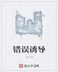 错误引导的艺术pdf