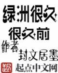 胖哥西部游记全集