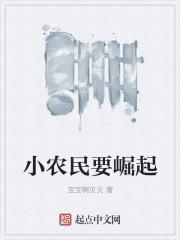 小农民的崛起时代