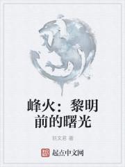 黎明前的曙光歌