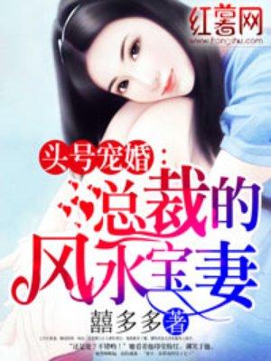 总裁的风水宝妻漫画