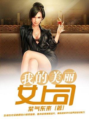 我的美丽女老板原著