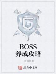 boss成长