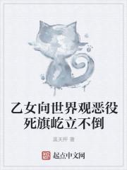 乙女向是什么意思啊