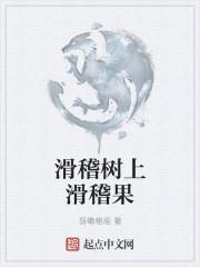 滑稽树上滑稽果滑稽树你和我