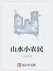 山水小农民txt奇书