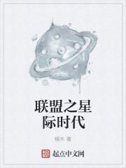 星际联盟公司