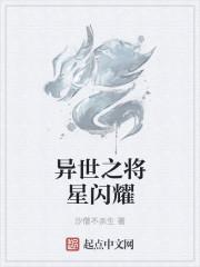 将星闪耀公司