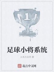 宋代足球小将系统