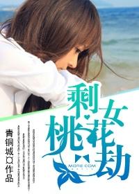 剩女桃花劫有声在线收听