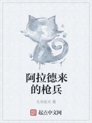 阿拉德之怒枪炮师攻略