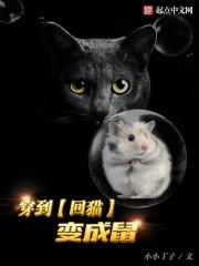 穿回过去变成猫txt