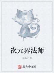 全职法师次元召唤