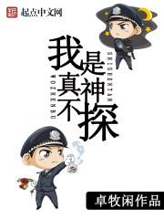 朝阳警事主角做到什么官