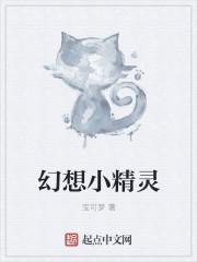 幻想精灵什么意思