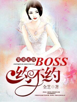 宠妻无度boss大人请节制