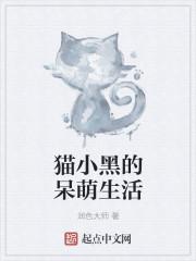 猫咪小黑动画片