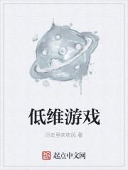 低维游戏讲的是什么