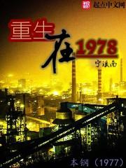 重生在70年代 宁溪南 著