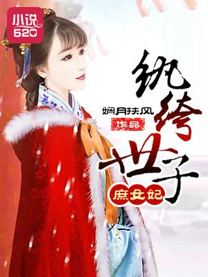 纨绔世子妃无删减版