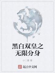 黑白无双手游