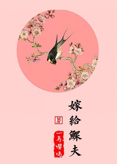 嫁给鳏夫 一鸟嘤鸣无重复