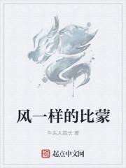 风一样的意思是什么