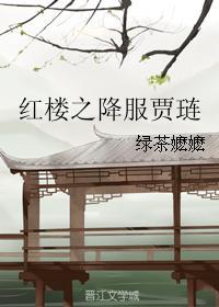 红楼之降服贾琏无错章节