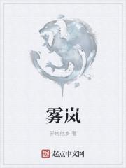 雾岚是什么意思