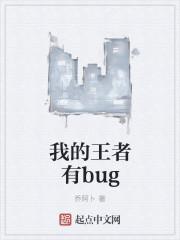 王者发现bug