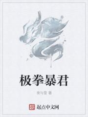 极拳暴君人魔是什么