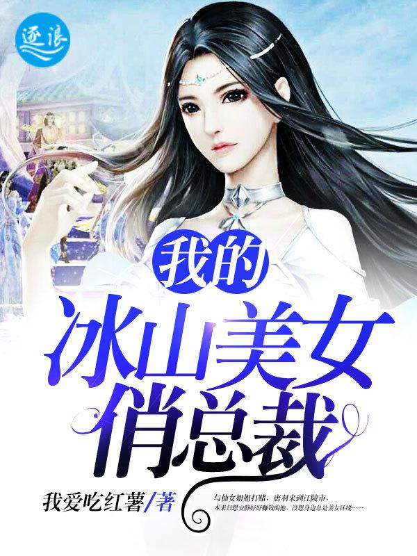 我的冰山美女总裁叶帆