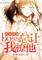 职业快穿boss总让我撩他epub