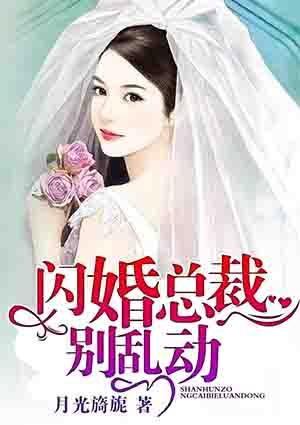 闪婚总裁轻点