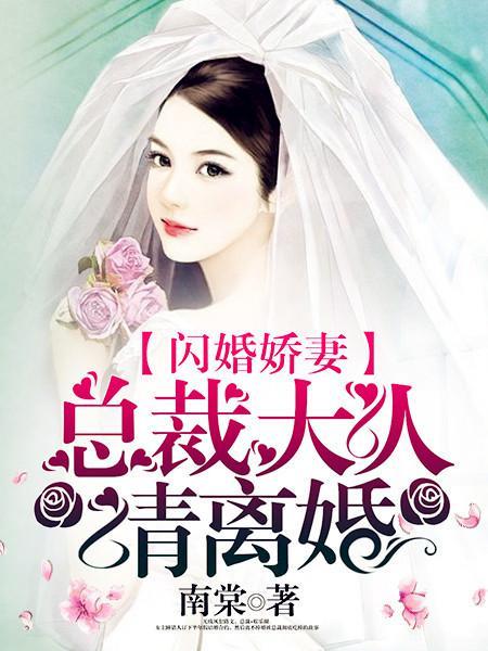 闪婚娇妻总裁大人请离婚乐烟儿