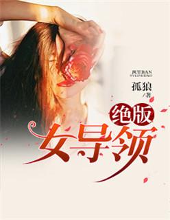 绝版女领导无删减版TXT免费